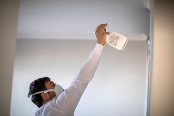 Best Toxic Mold Removal  in Collinsvle, IL