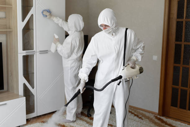 Best Commercial Mold Removal  in Collinsvle, IL