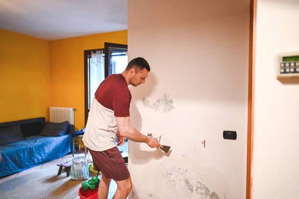 Best Local Mold Removal Service  in Collinsvle, IL